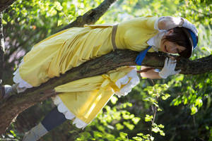 Monkeys chased me up the tree! by Rayi-kun