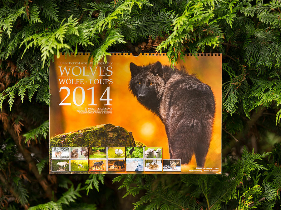 Wolves 2014 Calendar - Lookin' good in the hedge! by Lupinicious Wolves 2014 Calendar - Lookin' good in the hedge! by Lupinicious