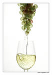 Taste Our Vines by purplepawn