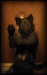 Cat the 3rd by Qarrezel