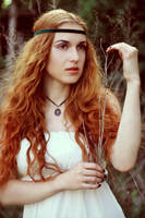 El arbol del olvido by saspunemcuvinte