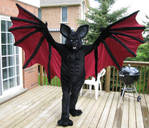 The Vampire Bat by Dark-Paws