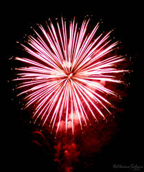 Fireworks - 6 by ElaineSeleneStock