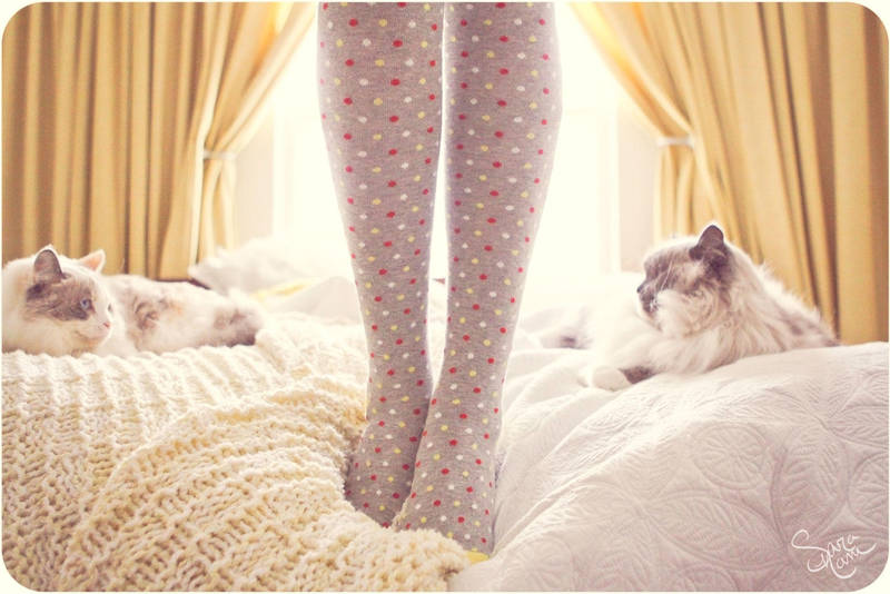 Happy Bed Monday, I mean Bench by tokkibaby