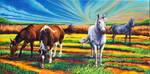 Texas Quarter Horses by GregSkrtic