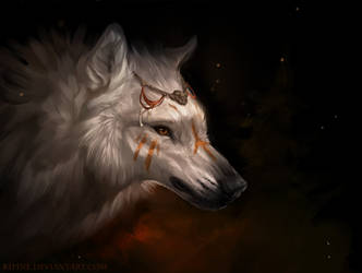 The Shaman of the Red Forest by Kipine