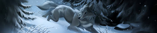Winter Forest by Kipine