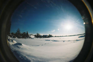 shore to shore by floralsky