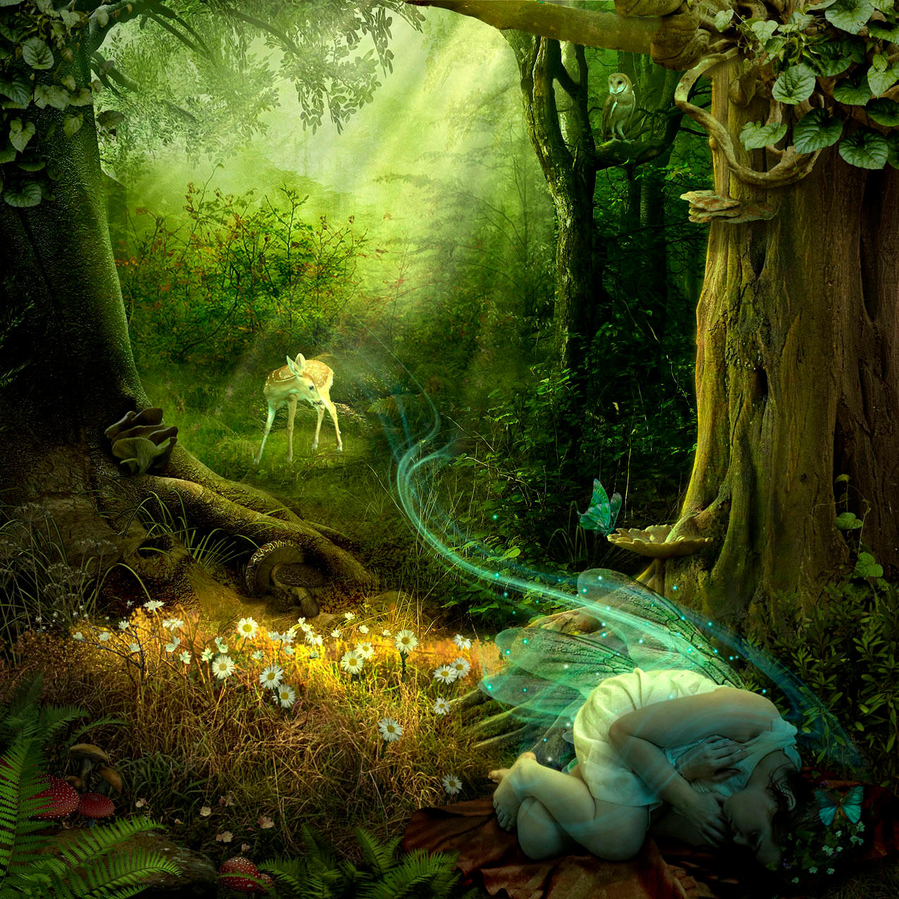 Sleeping Faerie by funkwood
