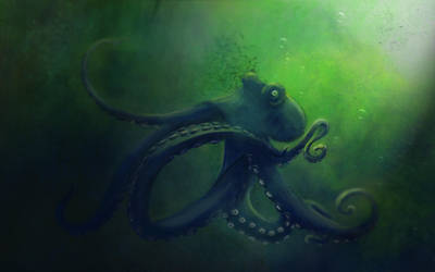 Krake by unikatdesign