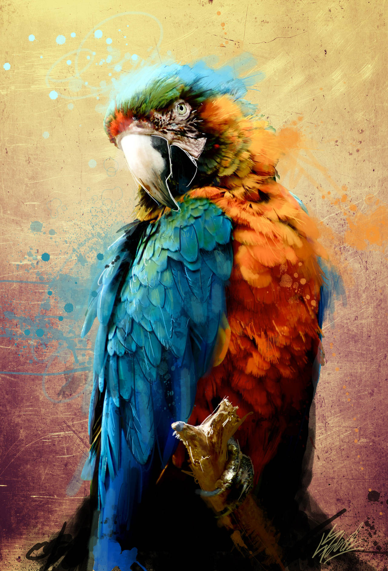 Parrot by PortratESeveN