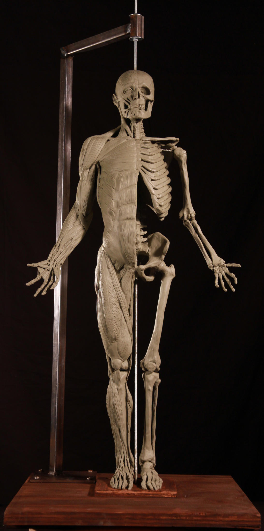 Ecorche Jack by ZombieArmadillo