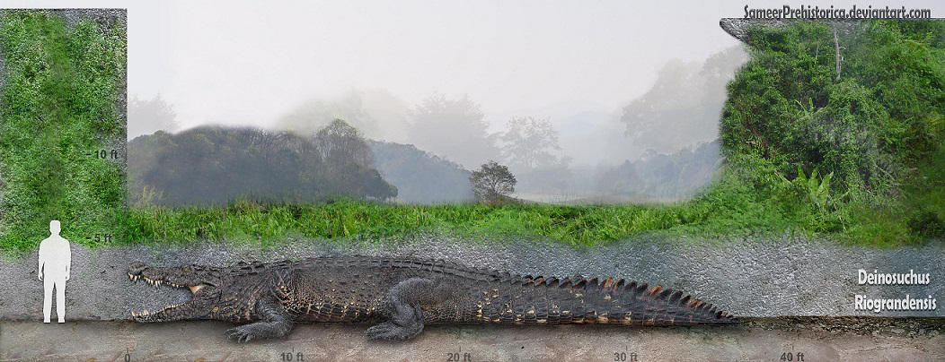 Deinosuchus by SameerPrehistorica