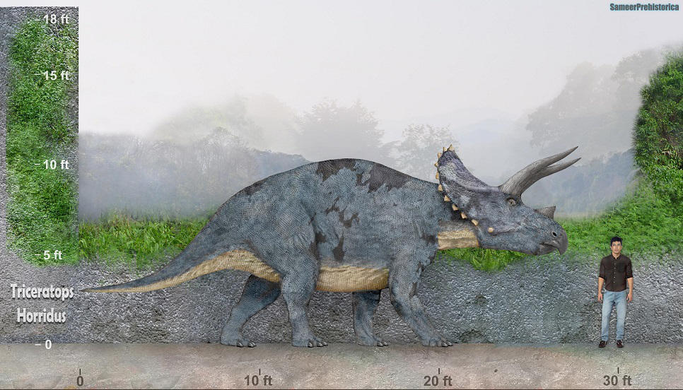 Triceratops by SameerPrehistorica