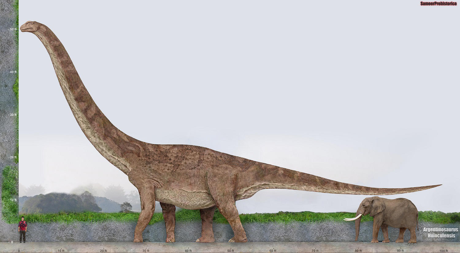 Argentinosaurus by SameerPrehistorica