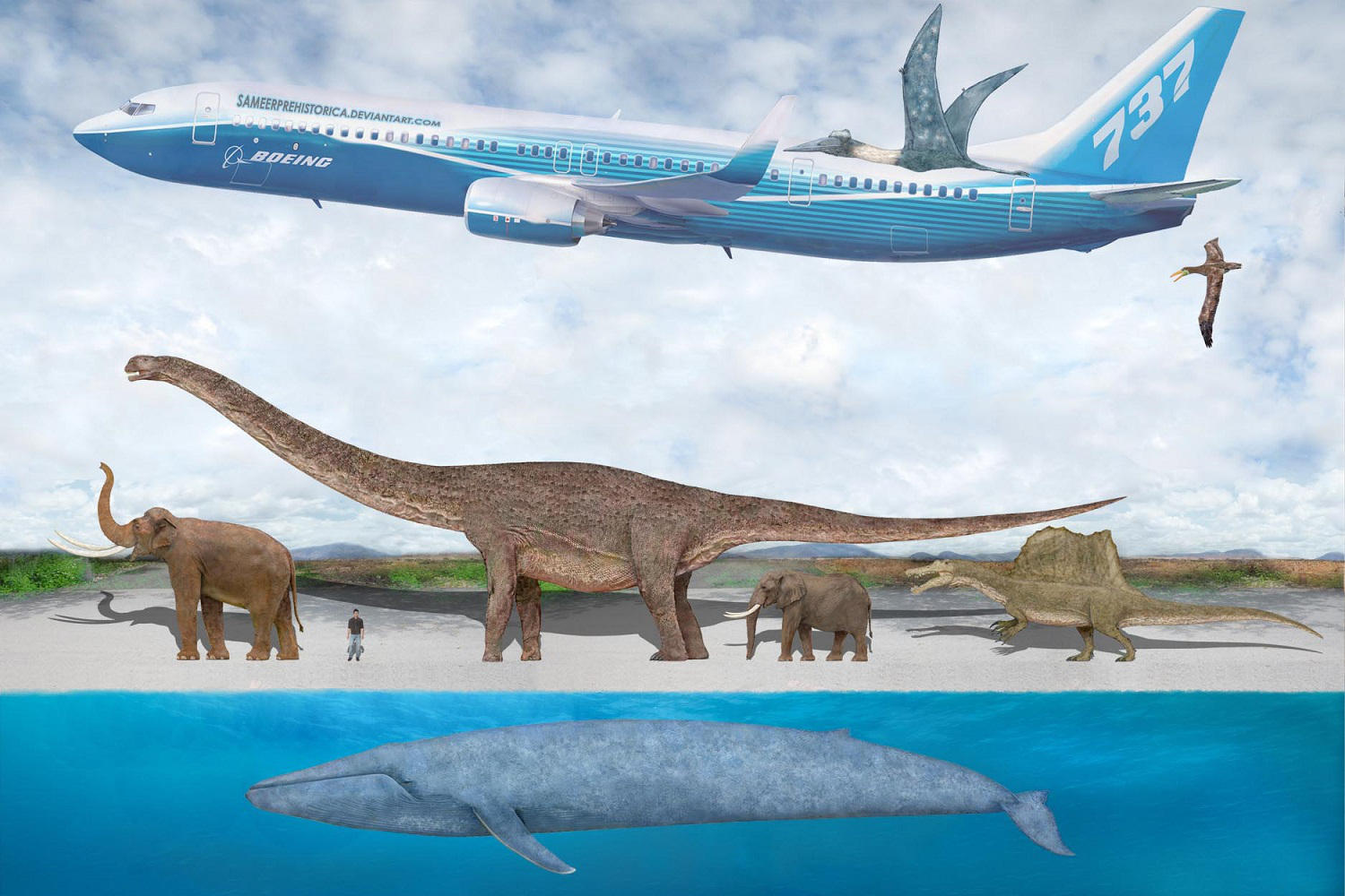 Blue Whale Size Comparison 2 By SameerPrehistorica On DeviantArt