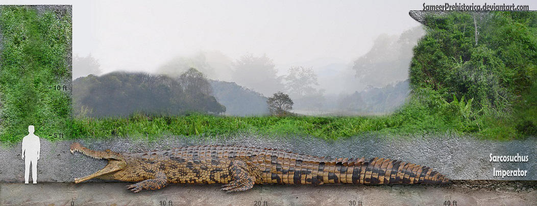 Sarcosuchus by SameerPrehistorica
