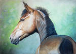 Pastel horse by Eija-H
