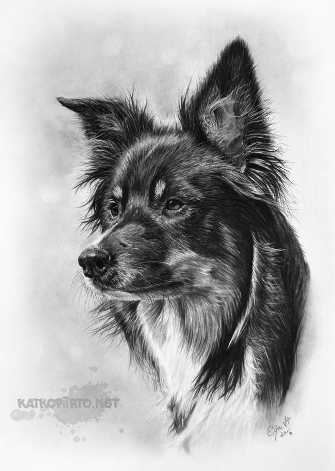 Tero by Eija-H