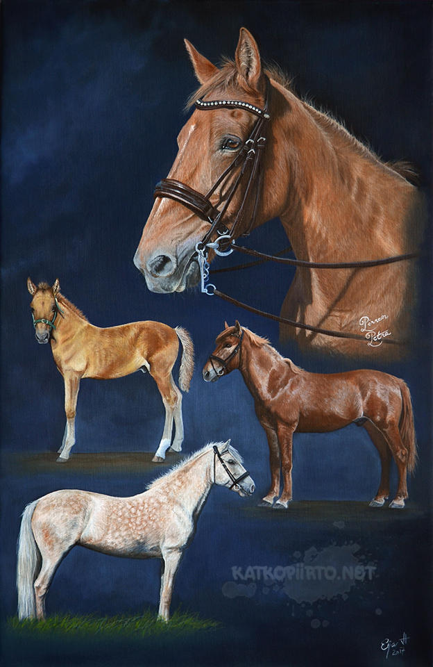 Petu, Pomo, Pero and Nita by Eija-H
