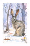 Spring hare by eliramouse