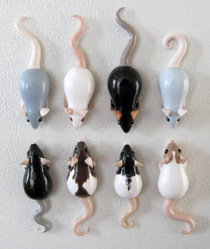 Ratty Magnets by DragonsAndBeasties Ratty Magnets by DragonsAndBeasties