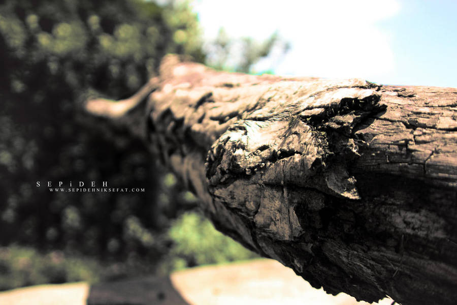 Causeless alone by Sepinik