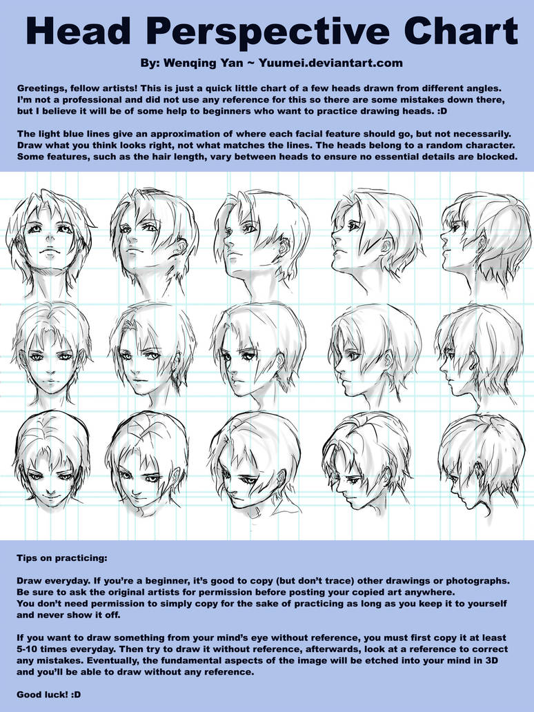 Head Perspective Chart by yuumei
