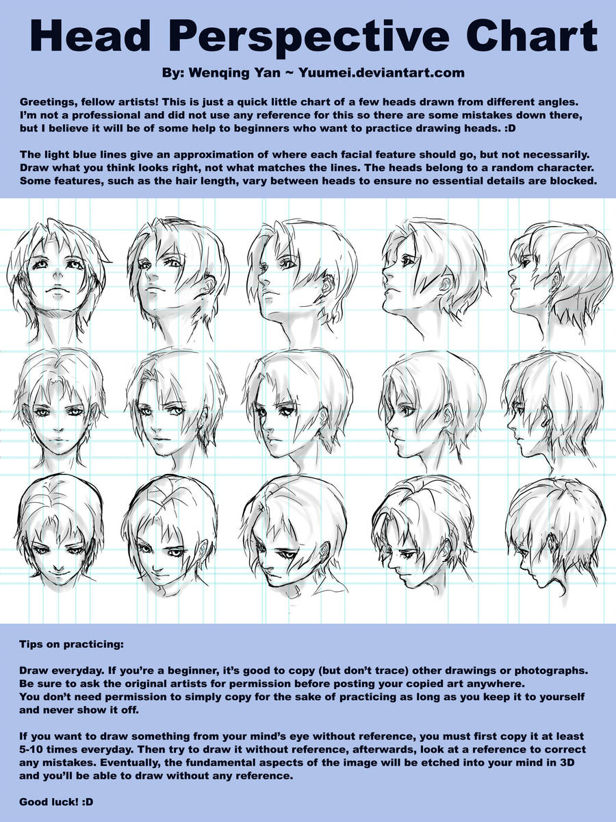 Head Perspective Chart by yuumei