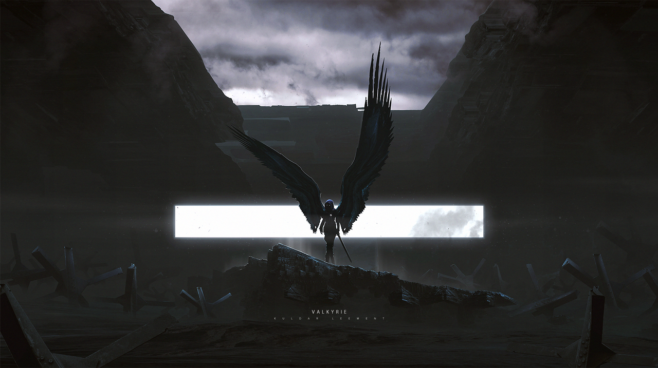 Valkyrie by KuldarLeement