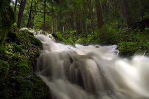 The Bridge Is Out by jasonwilde