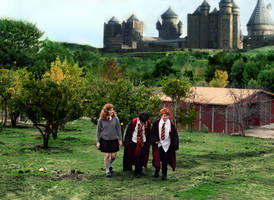 Hogwarts Grounds by TemaTime