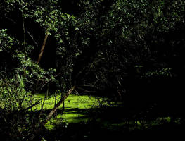 magic place. by luciferra