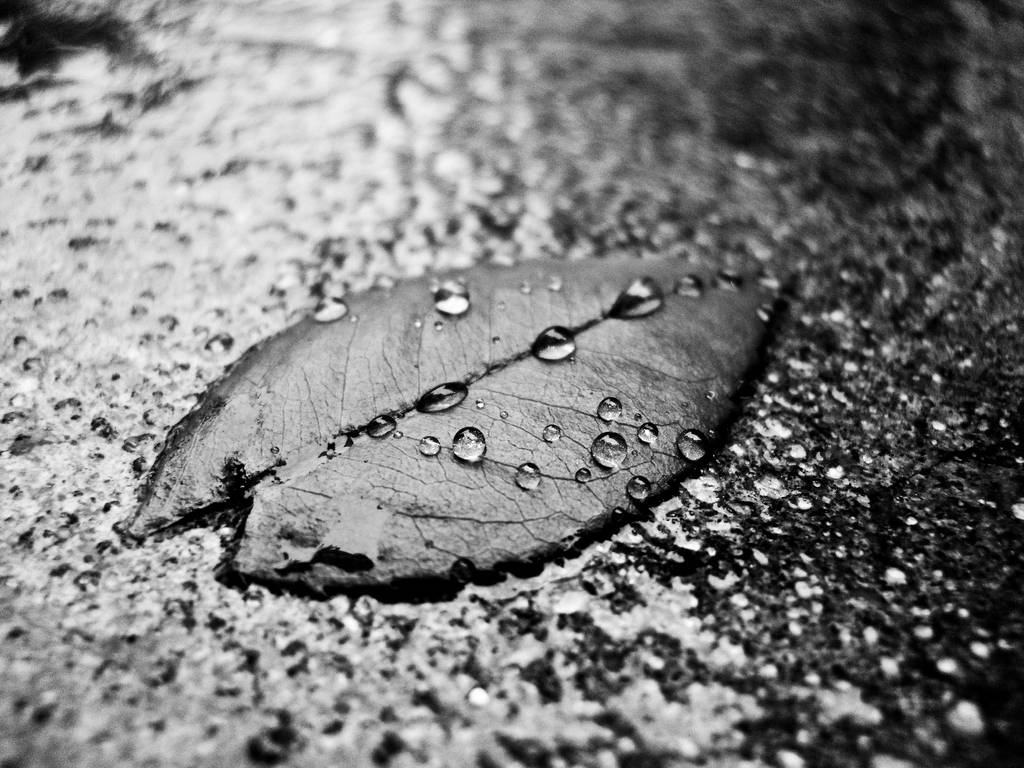 lonely by demor lonely by demor