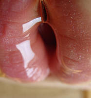 Lipnotized by naked-in-the-rain