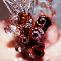 Cinnamon by naked-in-the-rain