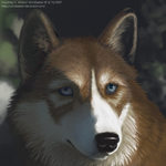 Gift for WolfFriend by WindSeeker
