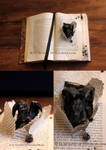 Livre dragon by Fleurine-Retore