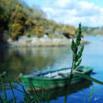 Bring me little boat by Hieronimus-art