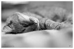 Soft bed IV by Hieronimus-art