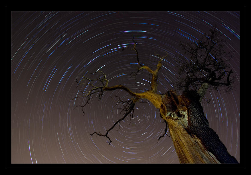 Crook Trails by allanibanez