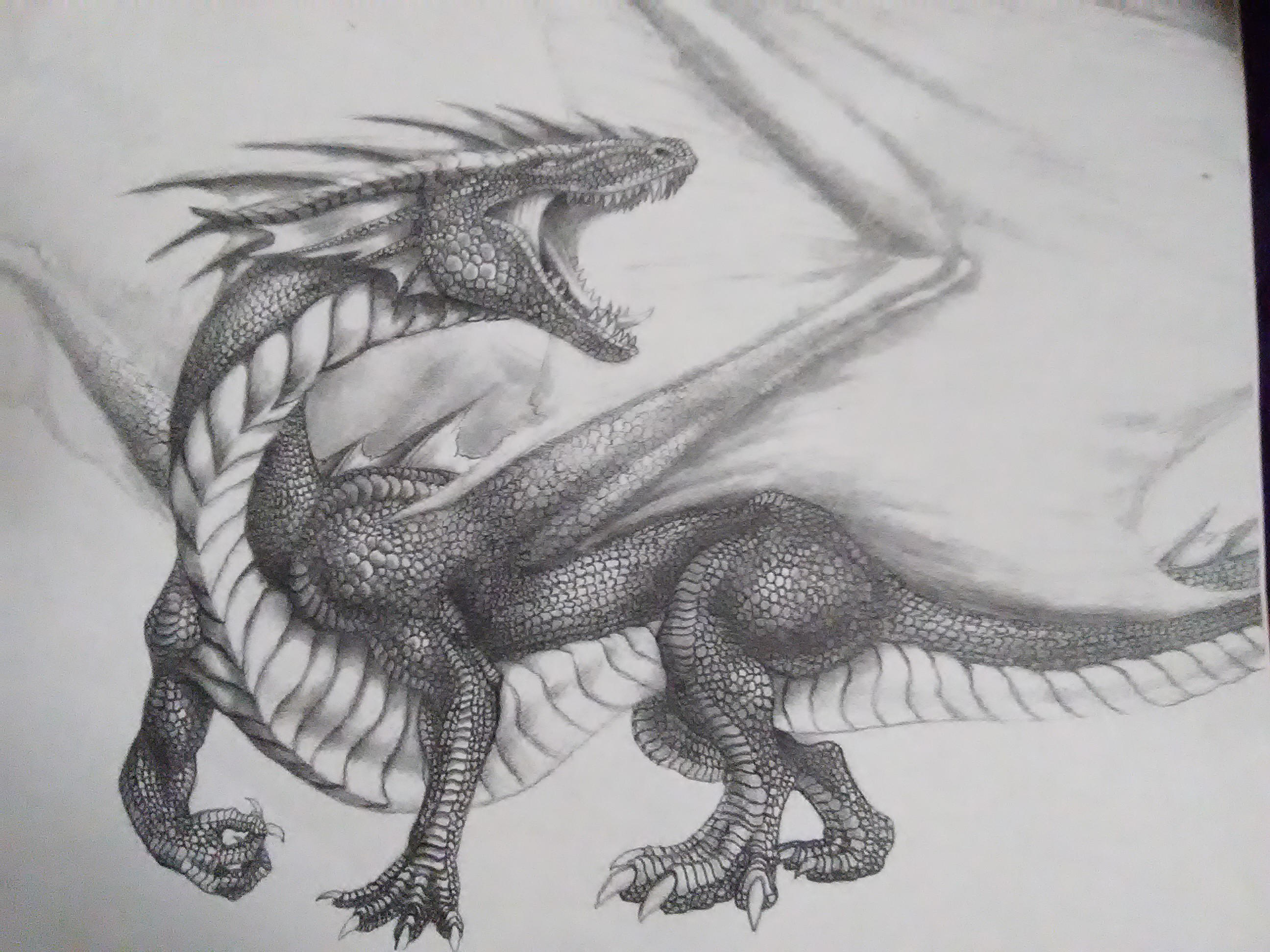 Roaring Dragon by Enigmatic-Ki
