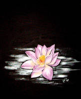 Pink Lotus Flower by zinka-d on DeviantArt