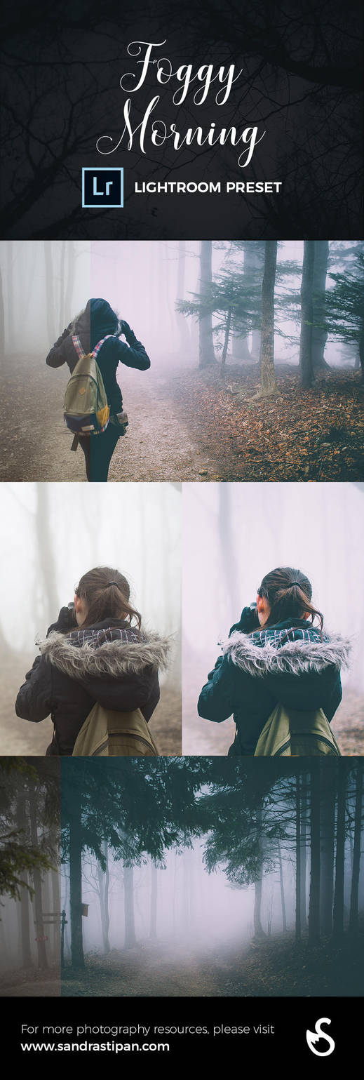 Foggy Morning Lightroom Preset by Evey90