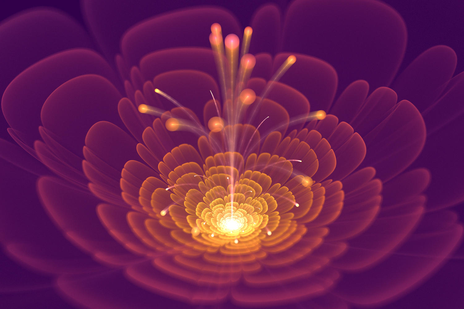 Flower-zscale by amrida