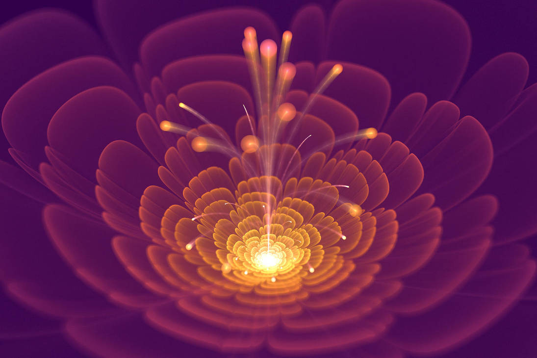 Flower-zscale by amrida