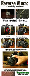 Reverse Macro Tutorial by FramedByNature