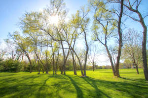 Day 121 by FramedByNature