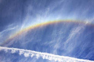 Day 266 by FramedByNature