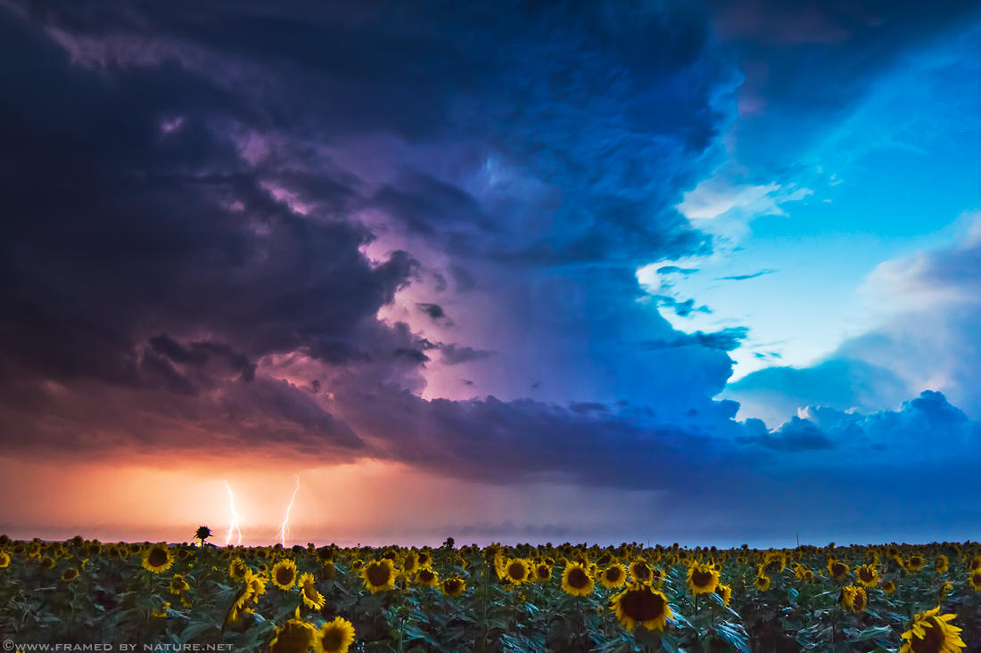 September 9th by FramedByNature